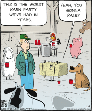 brevity